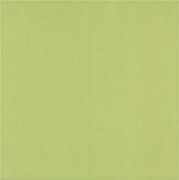 Напольная плитка Капри салатный 300x300